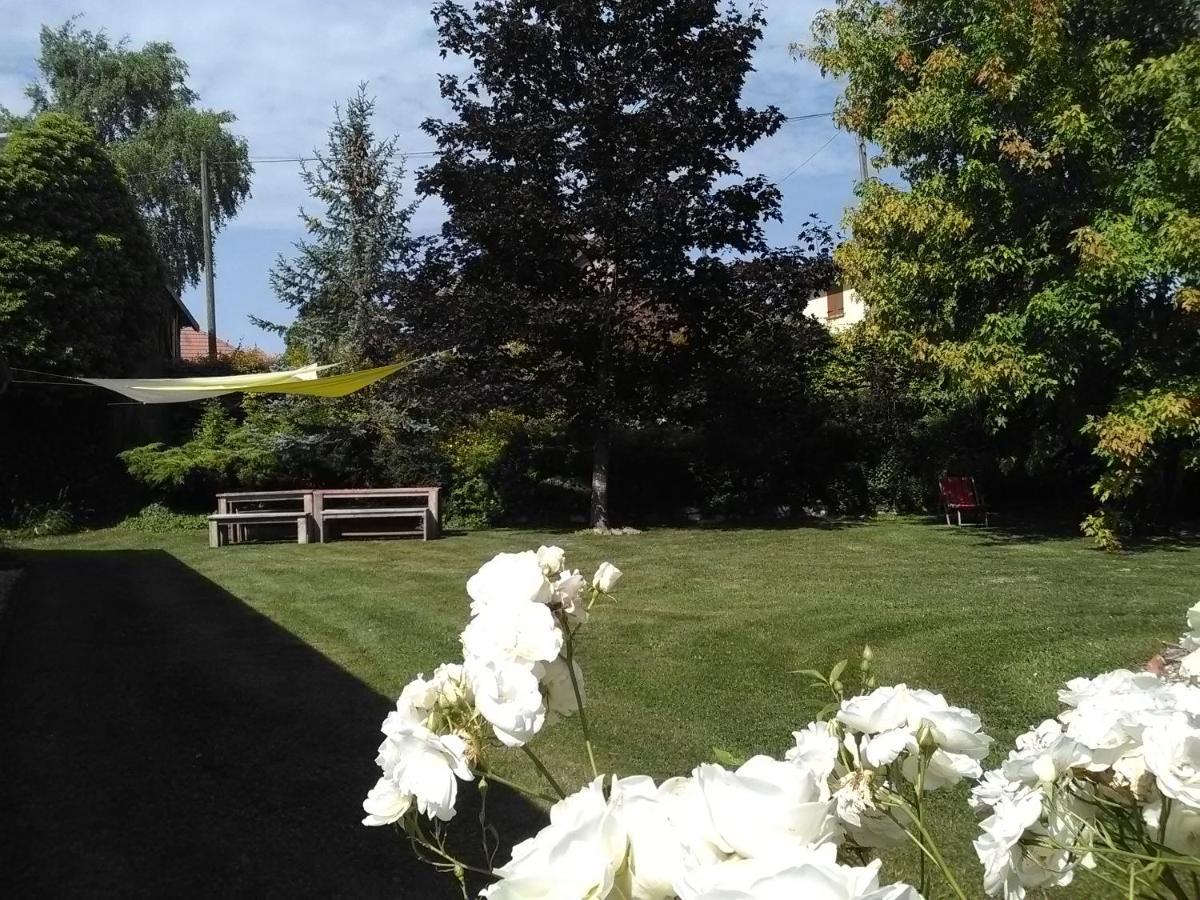 Chambre D'Hotes Des P'Tits Bonheurs Dosches Bagian luar foto