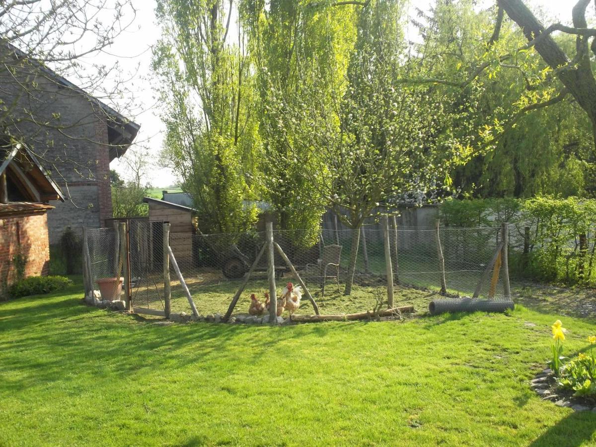 Chambre D'Hotes Des P'Tits Bonheurs Dosches Bagian luar foto